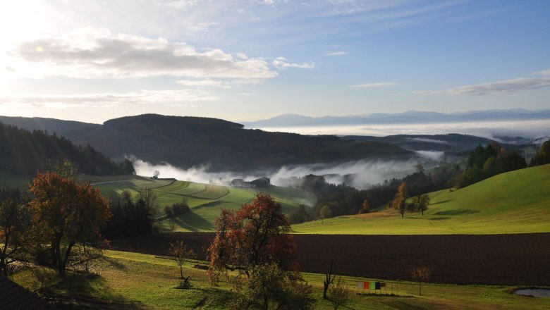 Landscape in the southern Waldviertel with hills, trees and fog.