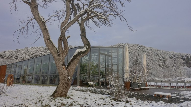 A modern orangery in winter, surrounded by snow-covered trees and hills.