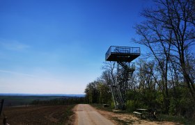Heidbergwarte observation tower in Alberndorf next to a path with trees and a bicycle.