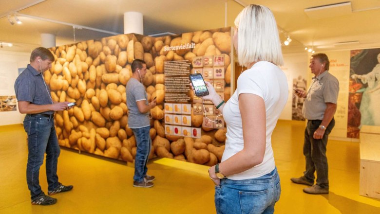 People in a museum with a potato exhibition, looking at their cell phones.