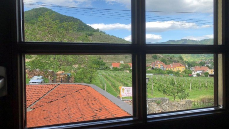 View from a window of a rural landscape with vineyards, houses and a hill in the background.