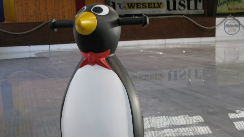 Children learn to ice skate quickly with the penguin, © Naturfreunde St. Pölten