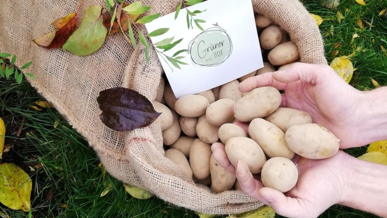 Green organic farm, &copy; Gr&uuml;ner Biohof