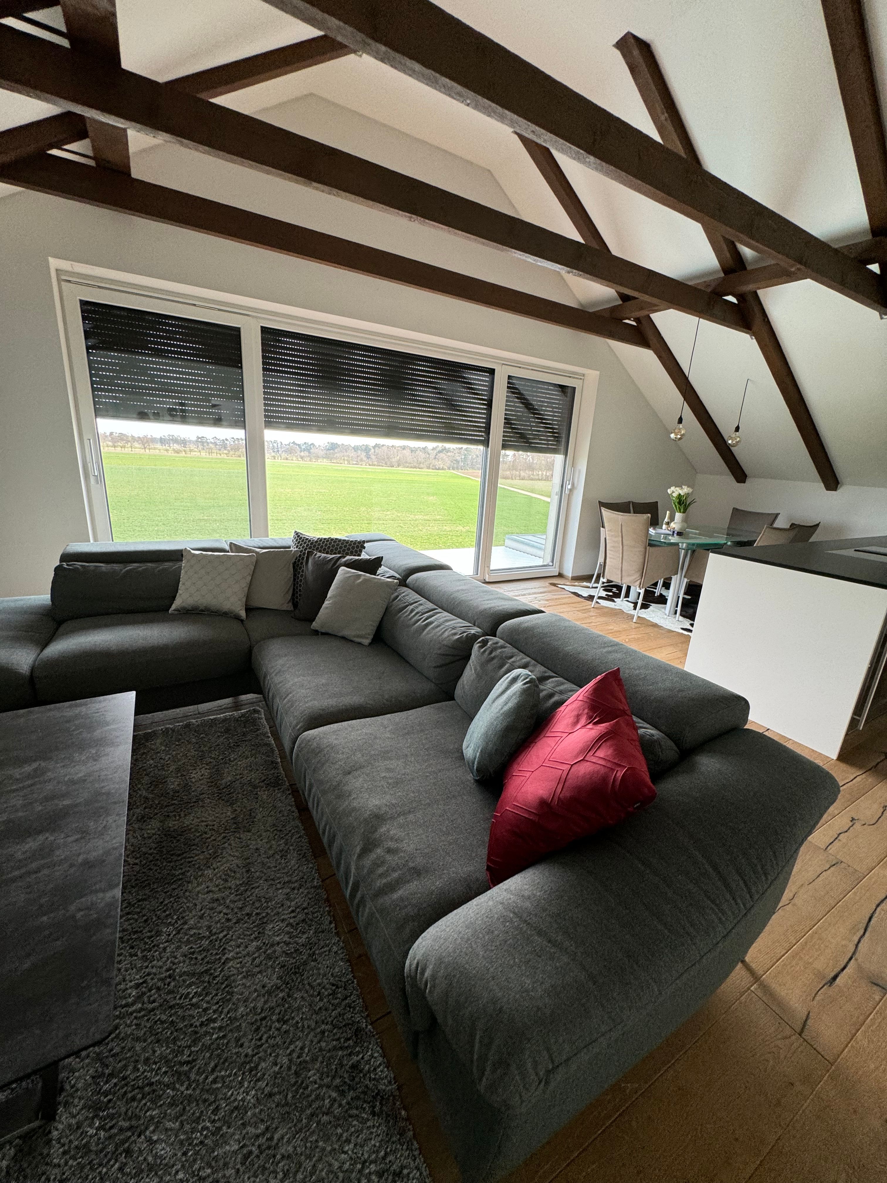 Living room with gray sofa, red cushions, dining table and panoramic window overlooking green meadow.