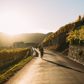 A stream. One cycle path. One destination. , © Daniel Gebhart de Koekkoek 