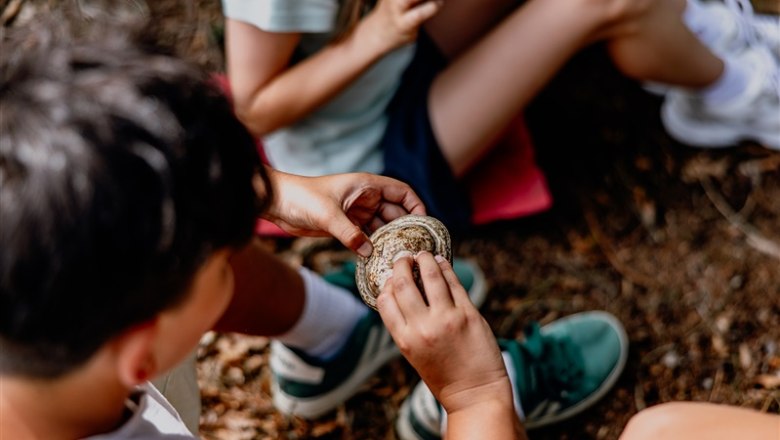 Children look at a mushroom in the forest.