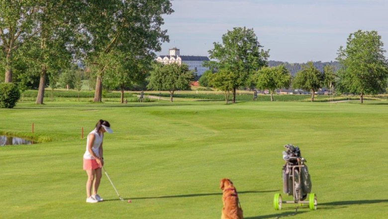 Golfer with dog on a green golf course, trees and buildings in the background.