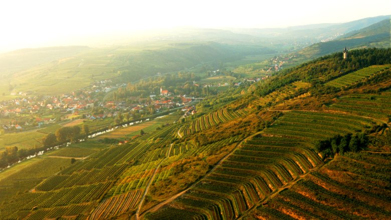 Aerial view of Langenlois with vineyards and village in the background.