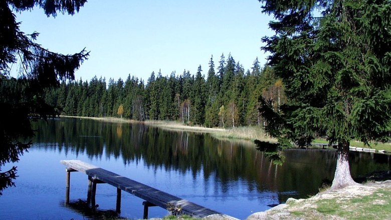 A quiet lake in the Nordwald Nature Park with a wooden footbridge and surrounded by dense conifers.