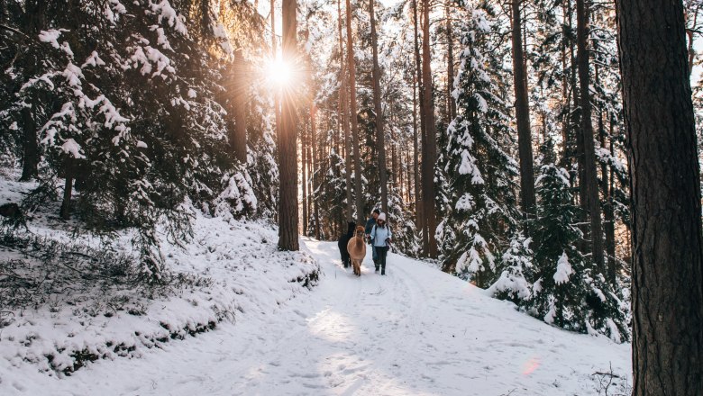 Winterwandern im Waldviertel, © Waldviertel Tourismus/sommertage.com