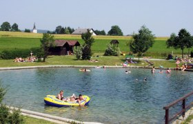 People bathing in a pond with surrounding meadow and trees.