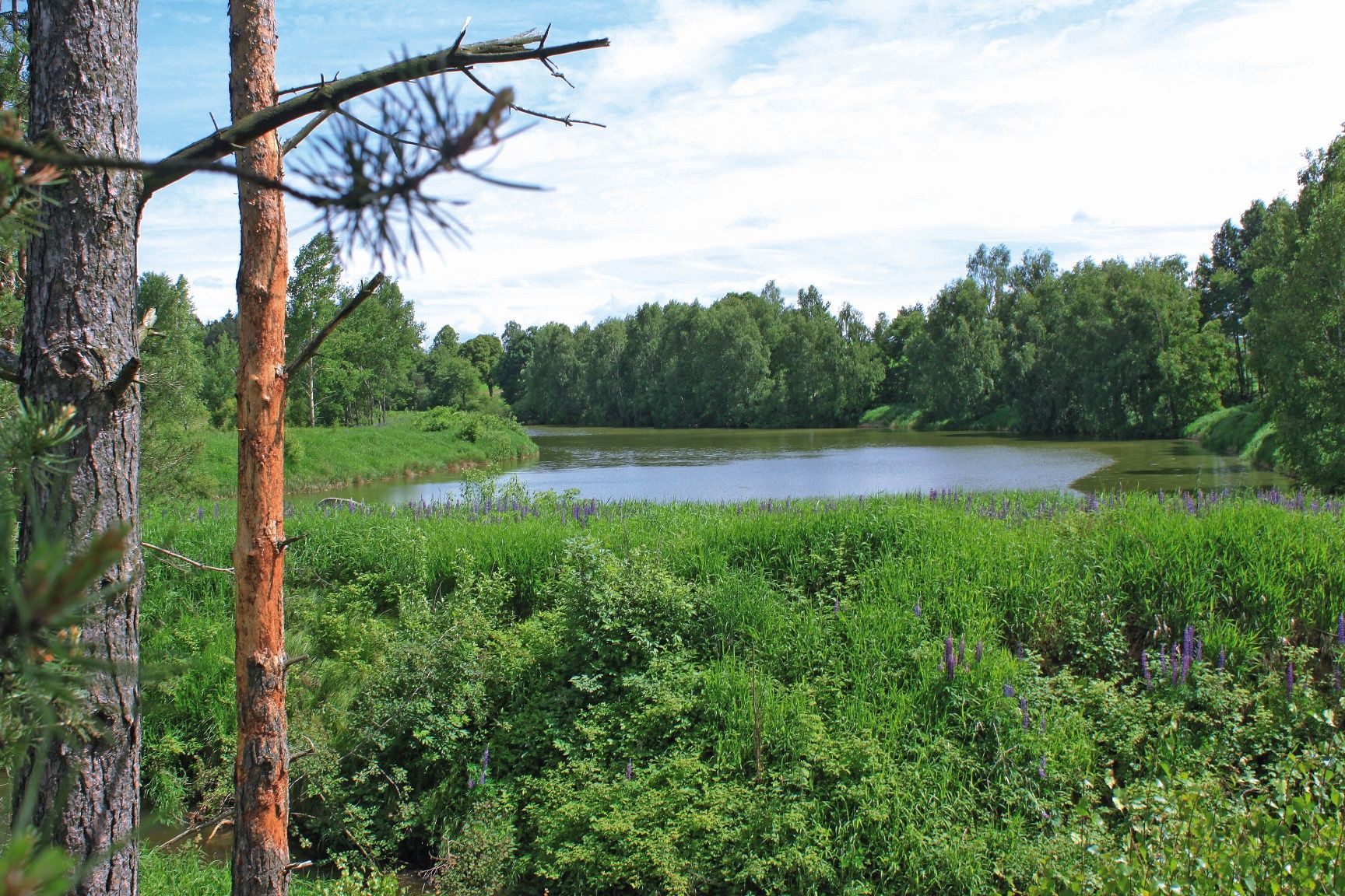 Eggern mill pond