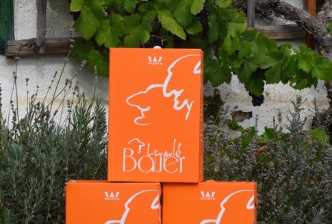 Viticulture Leopold Bauer, &copy; Bauer Leopold