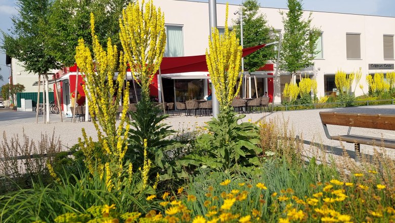 Garden in Lanzenkirchen, &copy; Koll GmbH