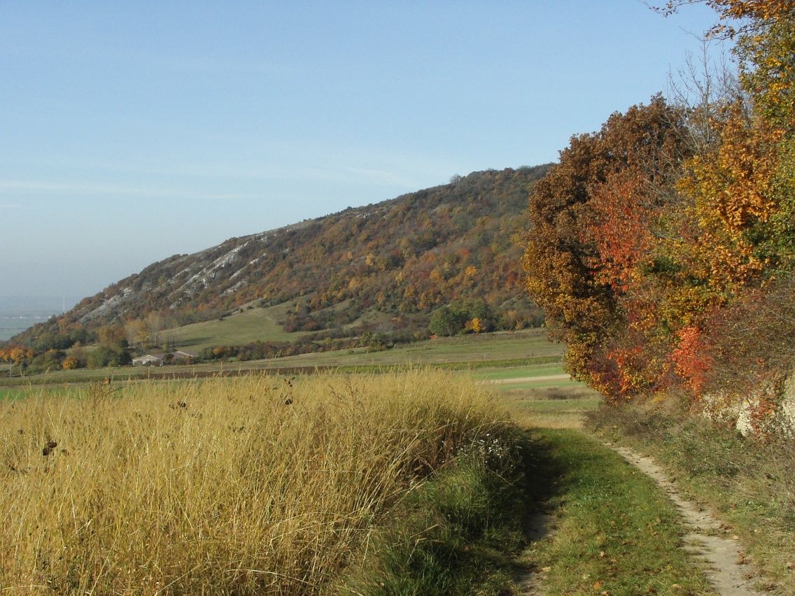 Hundsheim mountains