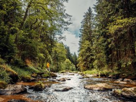 Zertifizierte Wanderdörfer, Auf Hundertwassers Spuren, Kamptal zwischen Zwettl und Roiten, © Österreichs Wanderdörfer, Creative Jungle Herunterladen