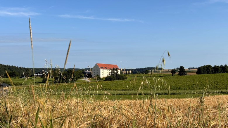 Korngut Now, © korngut