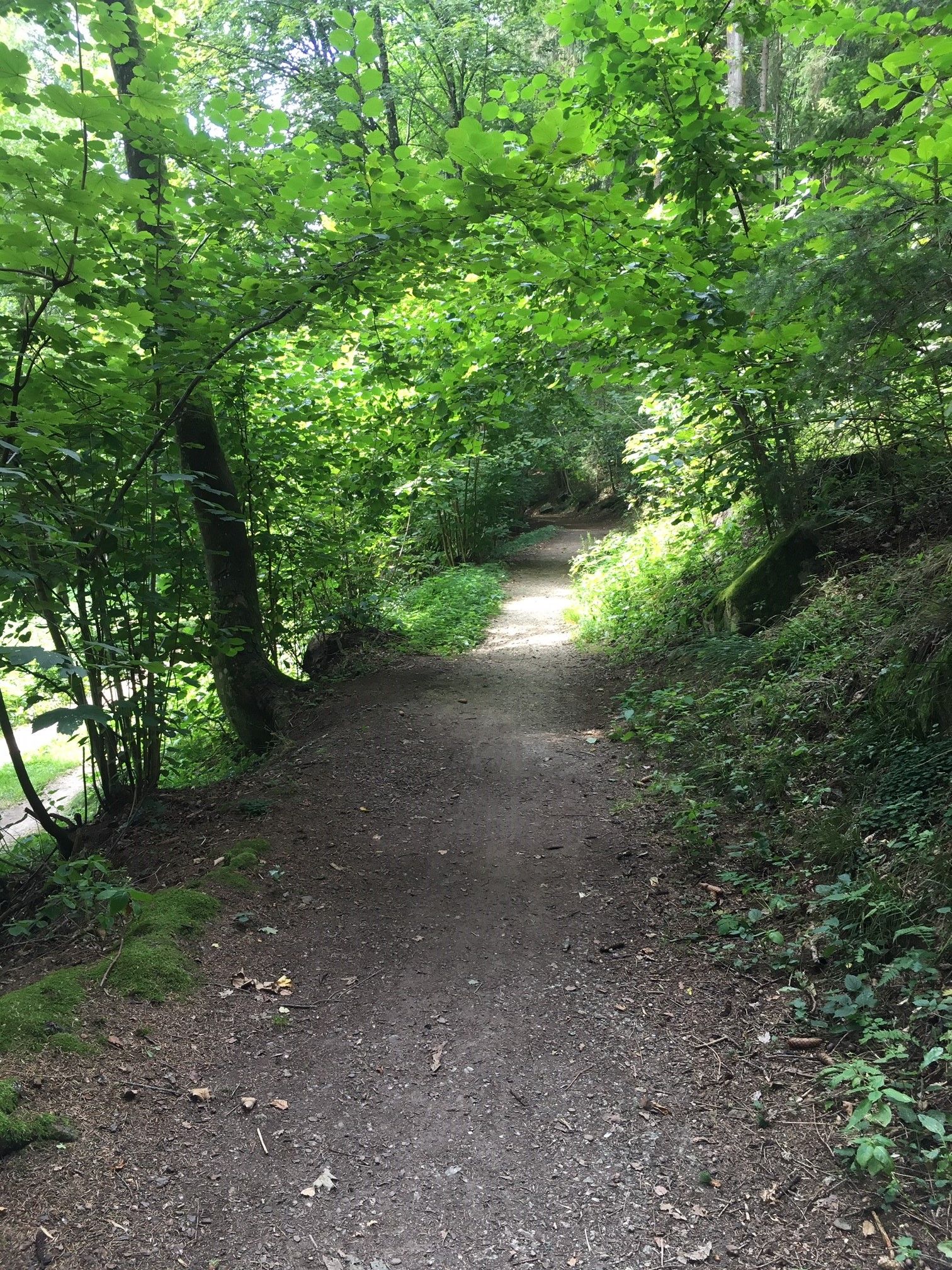 Hiking trail 31, Weitra