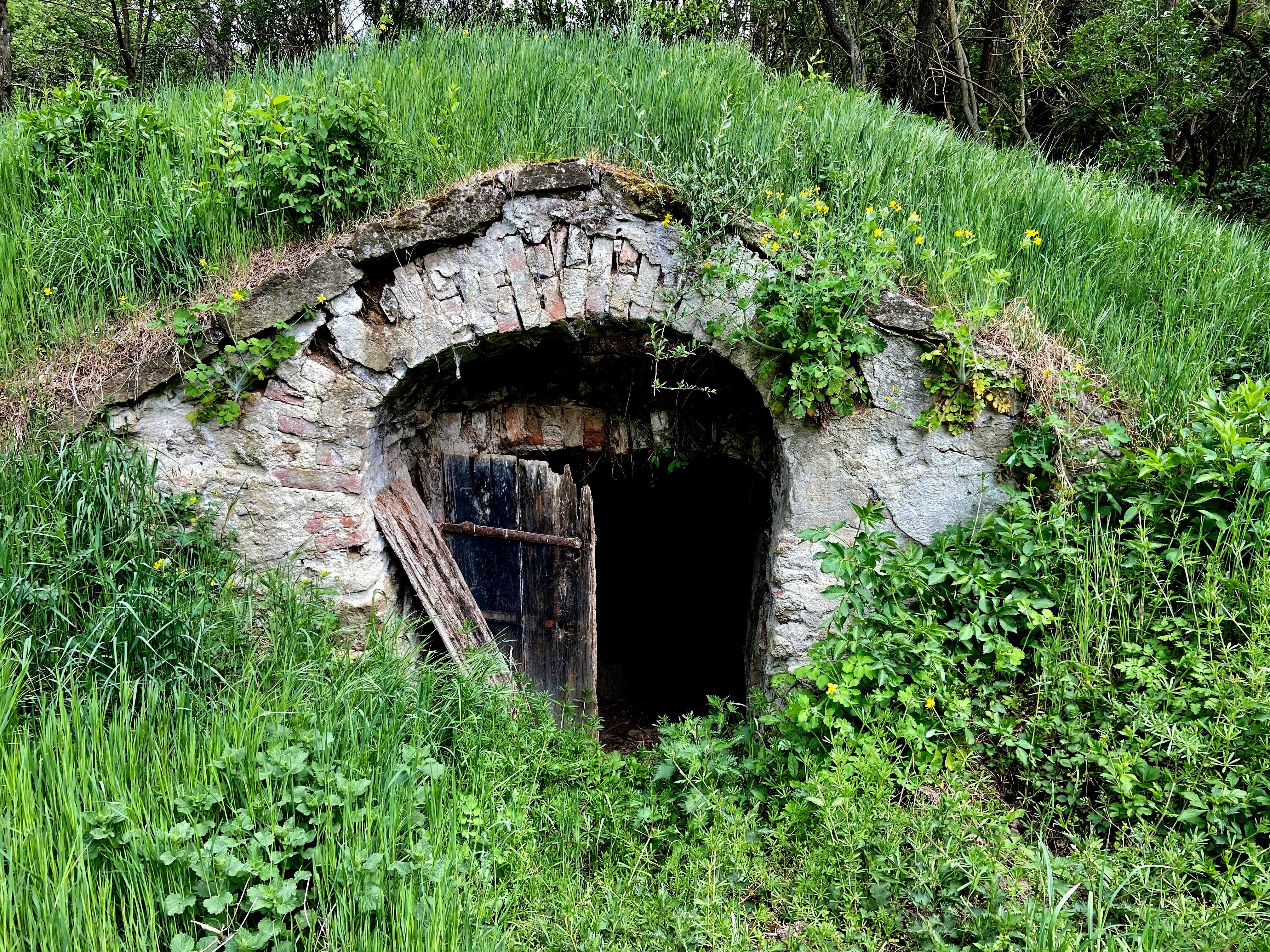 Entrance to an old wine cellar in a green landscape.