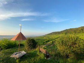 Herrliche Aussichten vom Parapluiberg, © Unknown