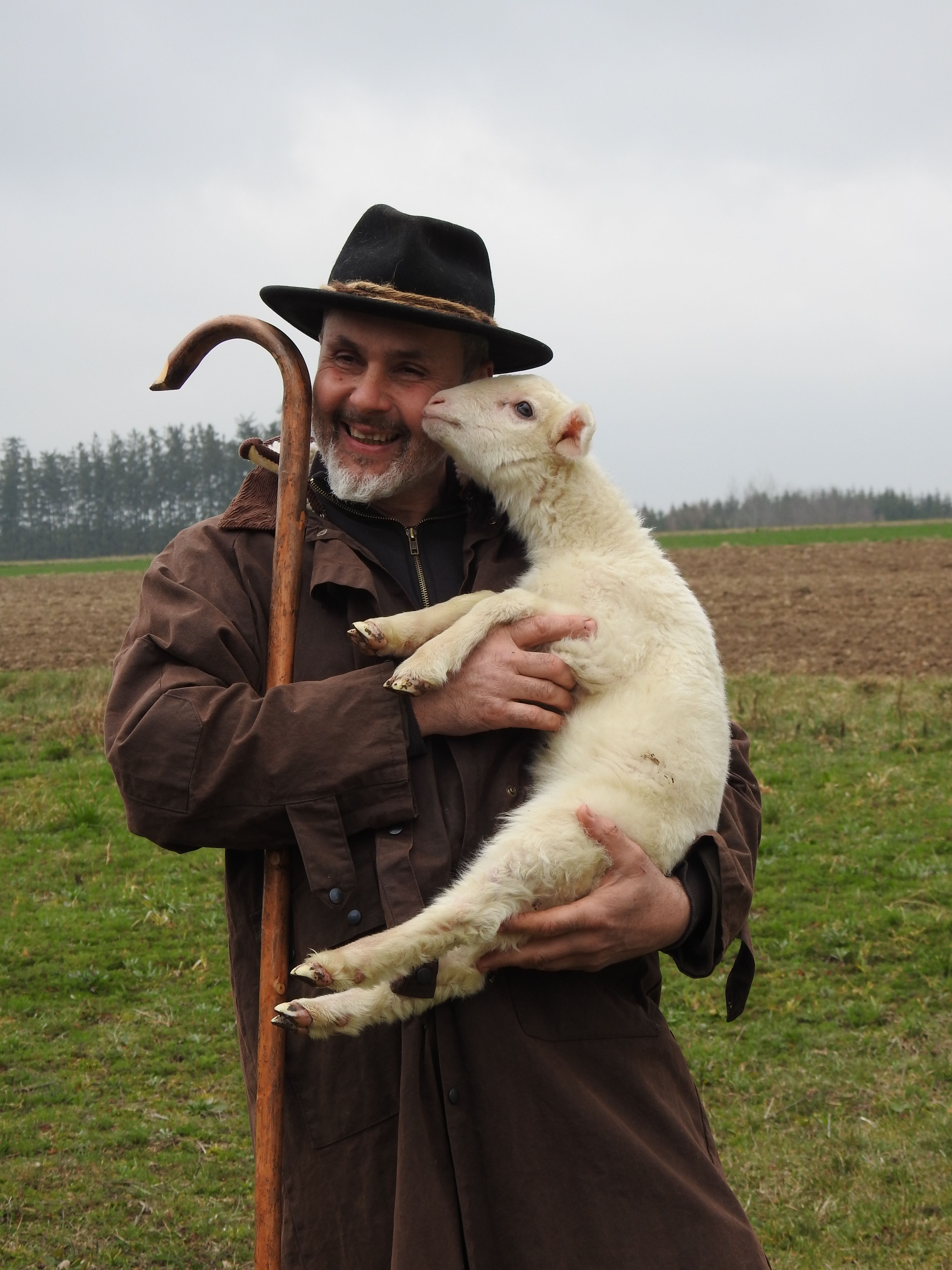 Shepherd Martin 