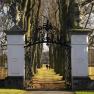 Iron gate with white pillars, behind it an avenue with trees.
