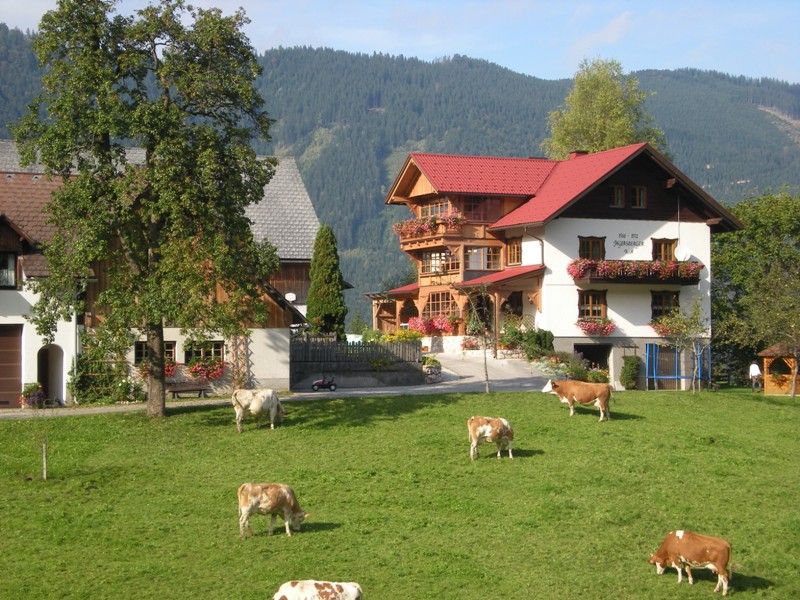 Farm with cows in a meadow in front of a traditional house in the Alps.
