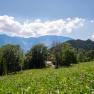 Green meadow with trees and a house in the foreground, mountains behind under a blue sky with clouds.