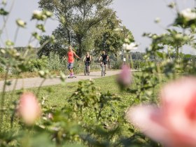 Tulln-Nutzungsrechte-vorhanden-c-Stadtgemeinde-Tulln-Robert-Herbst (42), &copy; Radfahrer auf der Donaul&auml;nde in Tulln