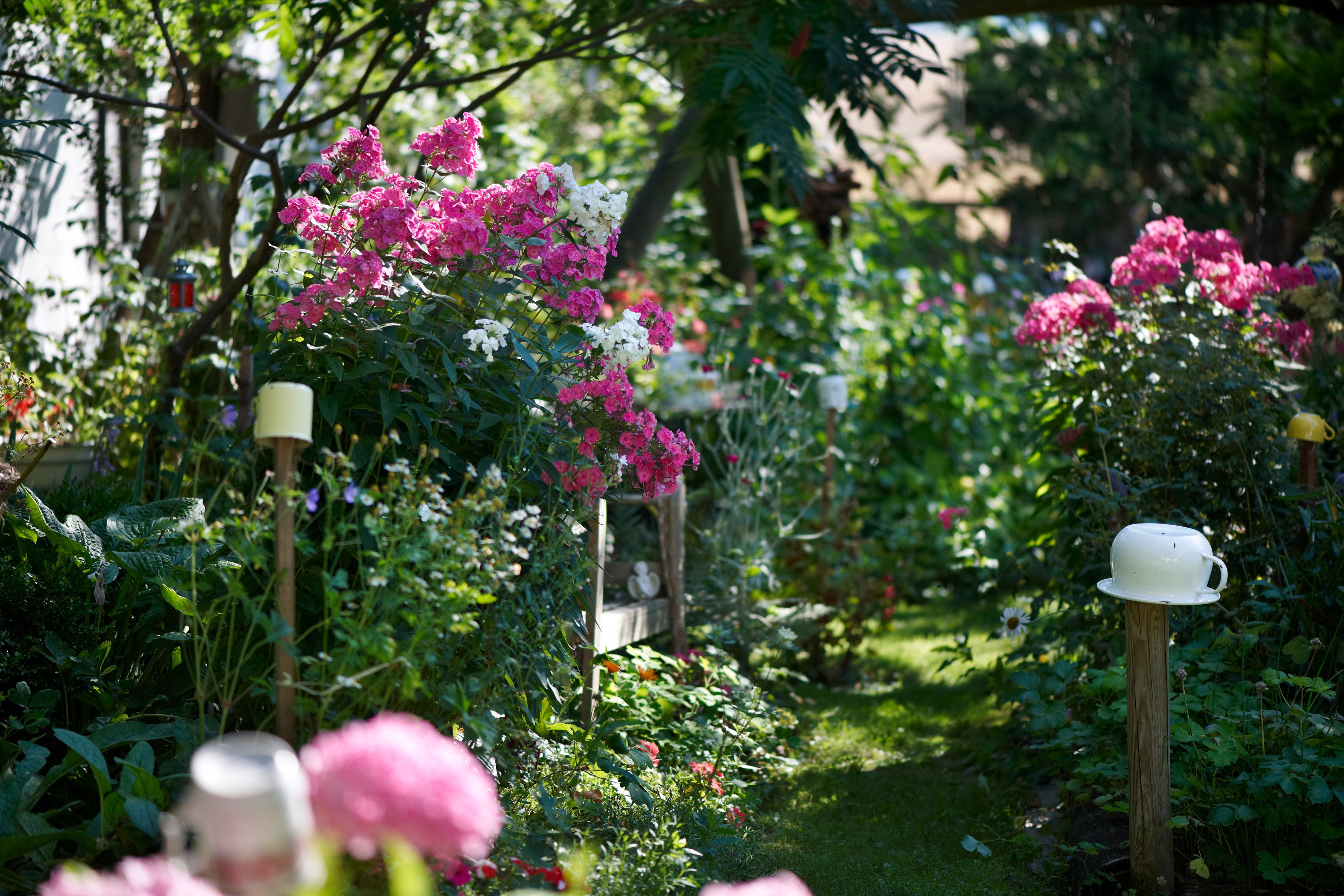 Private garden Pascher