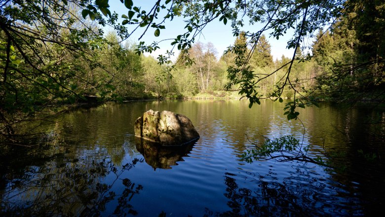 Private forest pond, © SSz