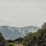 View of the Schneeberg with green trees in the foreground.