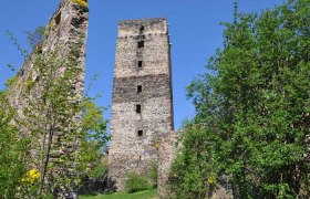 Ruin of a medieval tower with surrounding trees and blue sky.