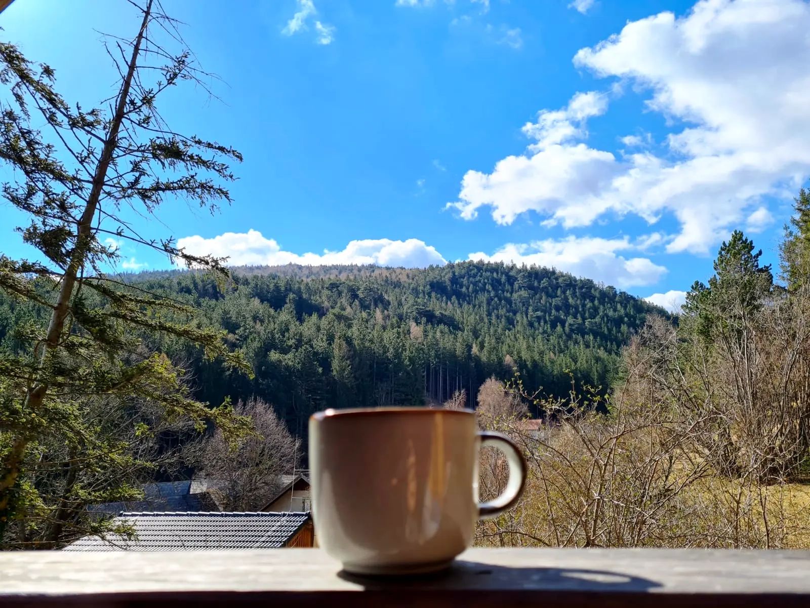 A cup on a wooden balcony with a view of wooded hills and blue sky.
