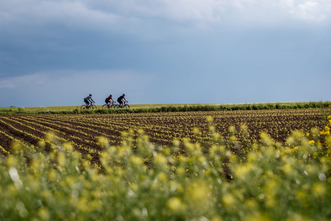 Pankraz cycle path through vineyards