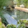 A wine glass stands on a stone edge next to a pond in the garden, surrounded by green plants.