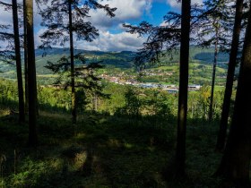 Im Wald - Blick auf W&uuml;rnsdorf, &copy; Unknown