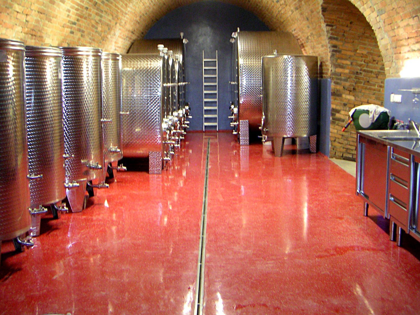 cellar photo