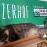 A cat lies on a shelf in front of a sign saying 'Winzerhof' and 'Urlaub am Bauernhof'.