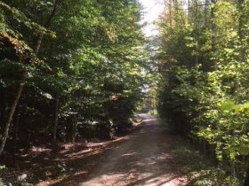 Warzensteinweg, &copy; Marktgemeinde St. Martin