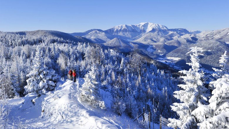 Trudge through the snow in the Naturpark Hohe Wand, © Naturparke Niederösterreich/Robert Herbst