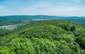 Panoramic view from the Rudolfswarte of wooded hills and a town in the background.