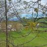 View of St. Leonhard am Walde in spring, © Ybbstaler Alpen