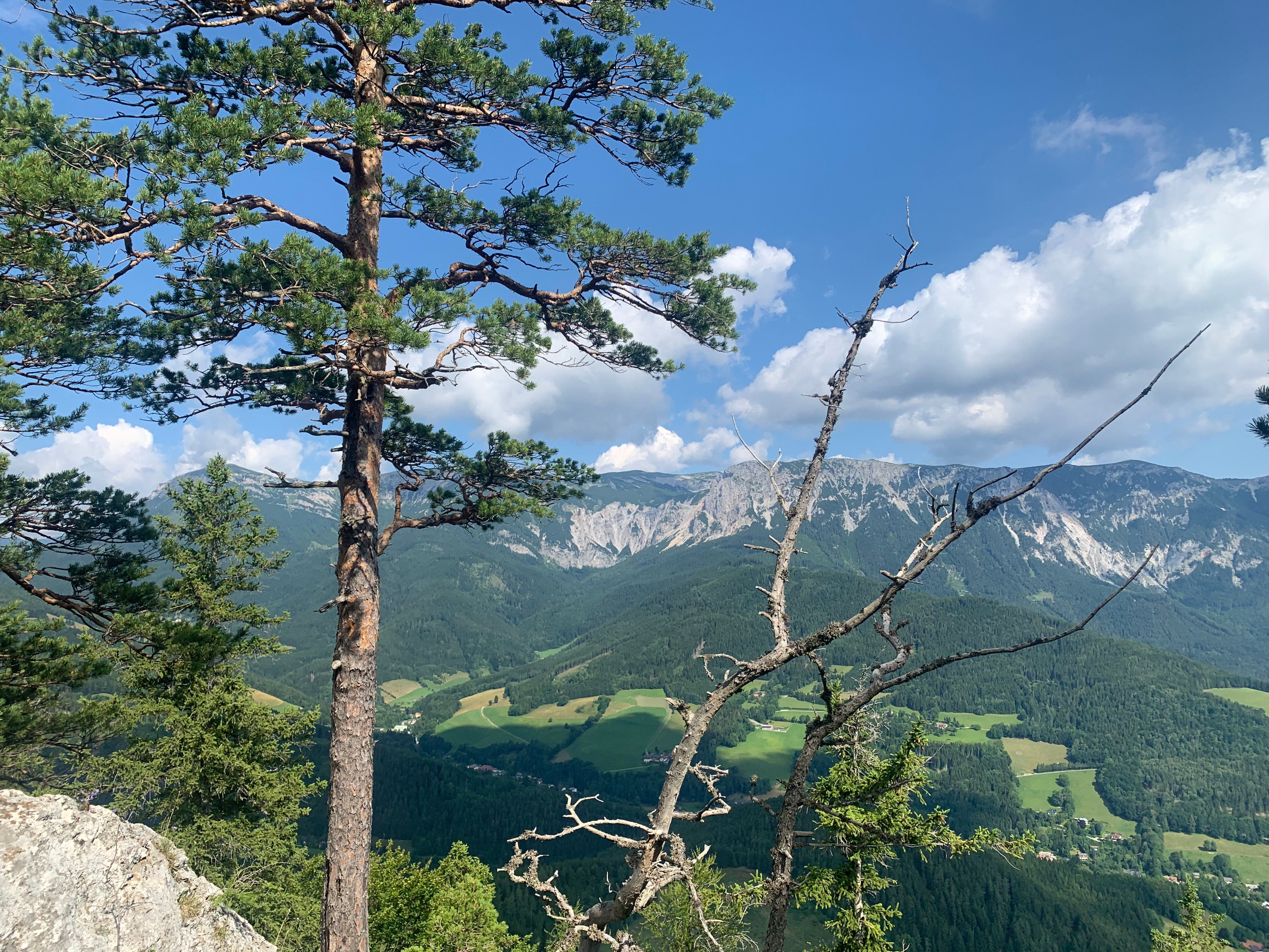 View of the Rax from the Luckerten Wand. 