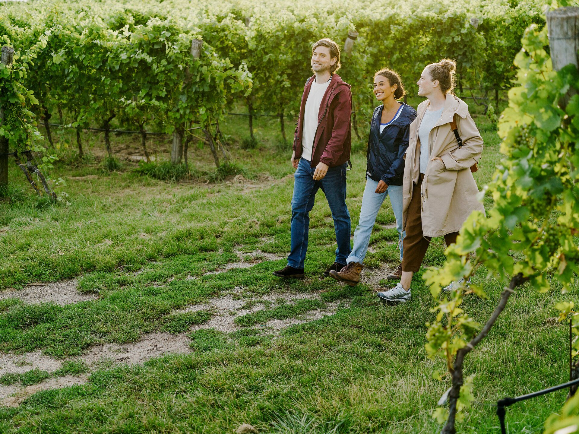 Inmitten der sanften Hügel des Waldviertels schlendern fröhliche Wanderer durch die üppigen Weinreben. Die goldenen Strahlen der Sonne tauchen die Landschaft in ein warmes Licht und laden dazu ein, die köstlichen Weine der Region zu entdecken. Ein unvergessliches Erlebnis für alle Sinne.