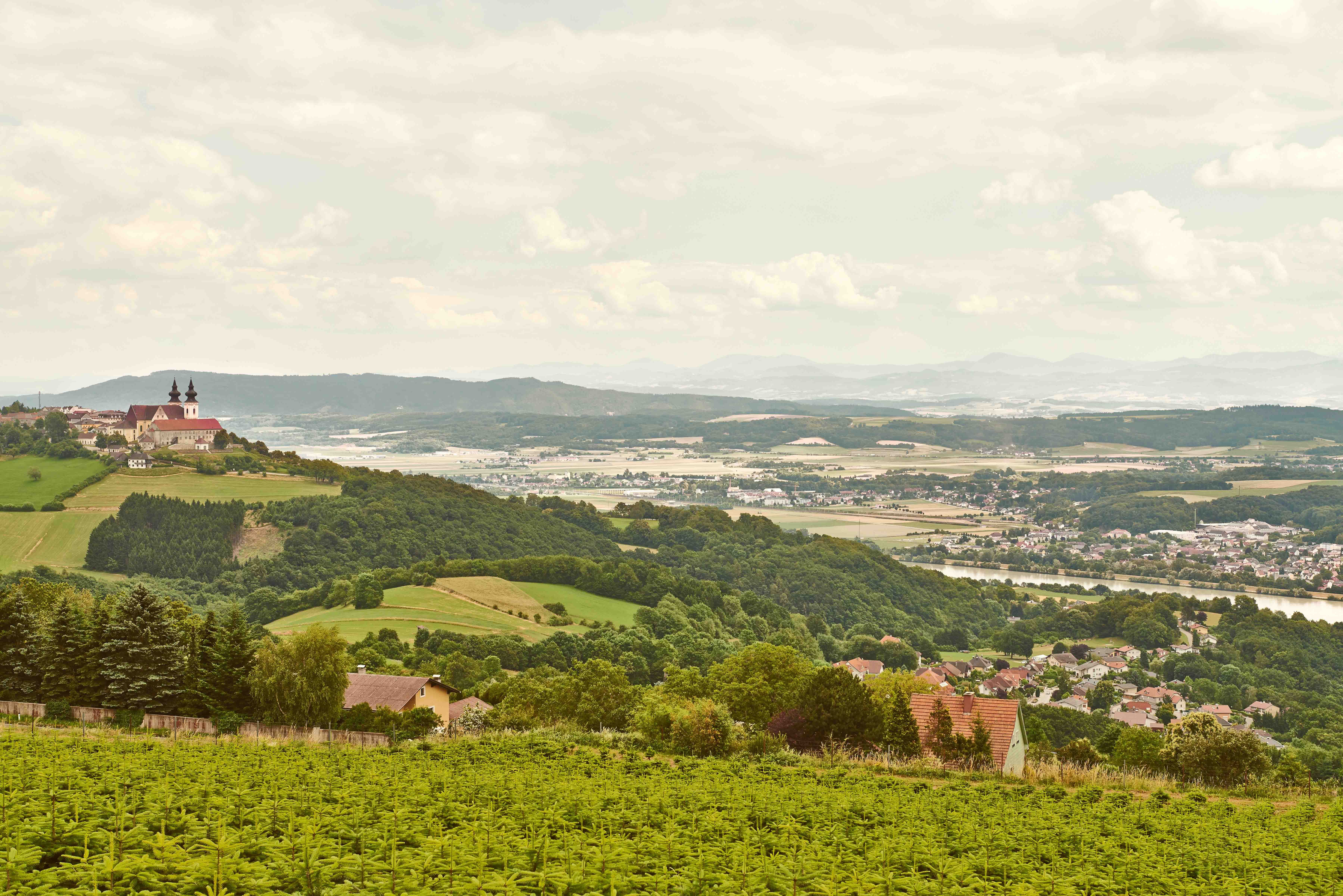 Landscape with a view of Maria Taferl and the Danube valley, green fields and hills in the foreground, river and mountains in the background.
