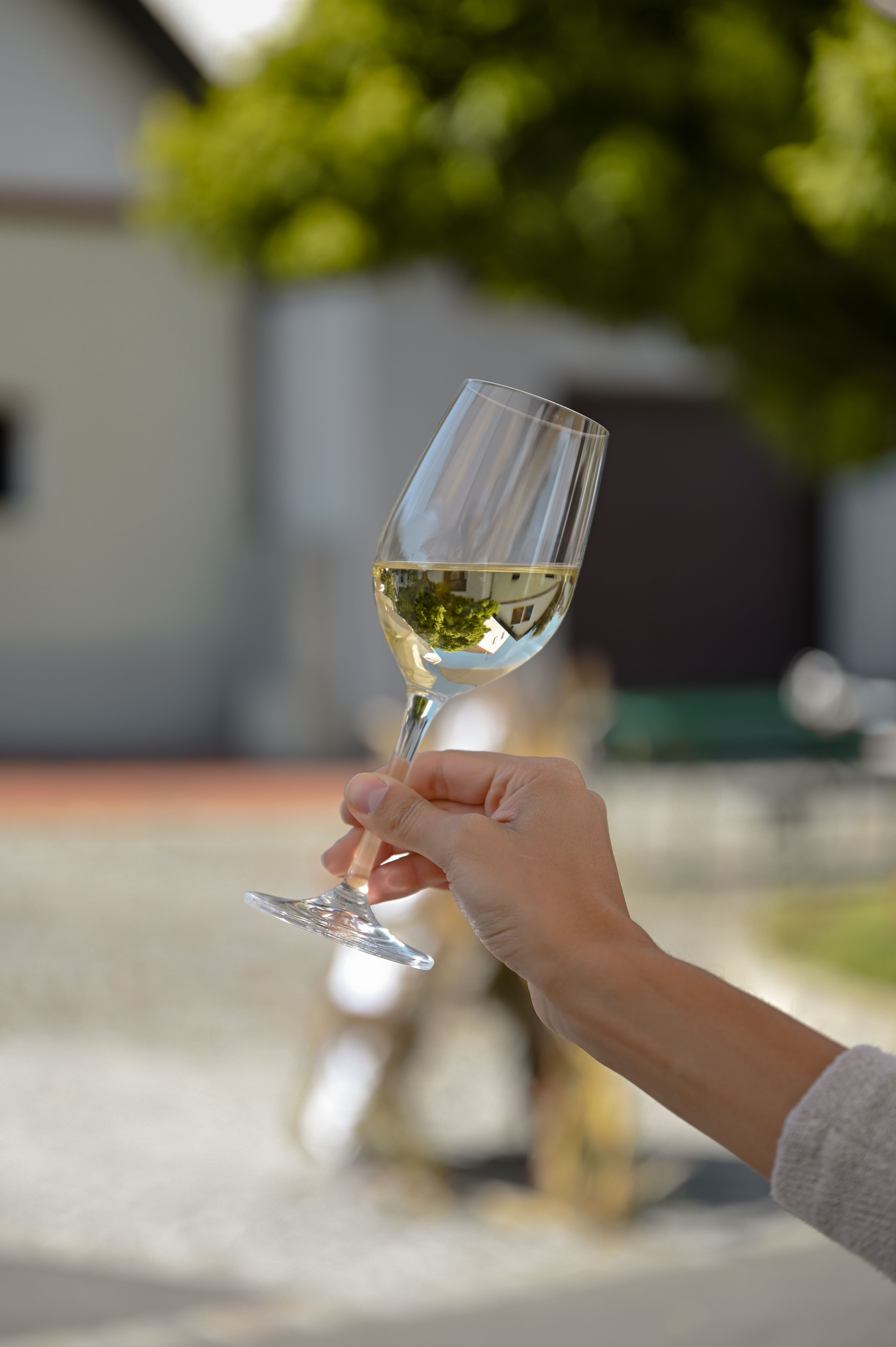 One hand holds a wine glass with white wine outside.