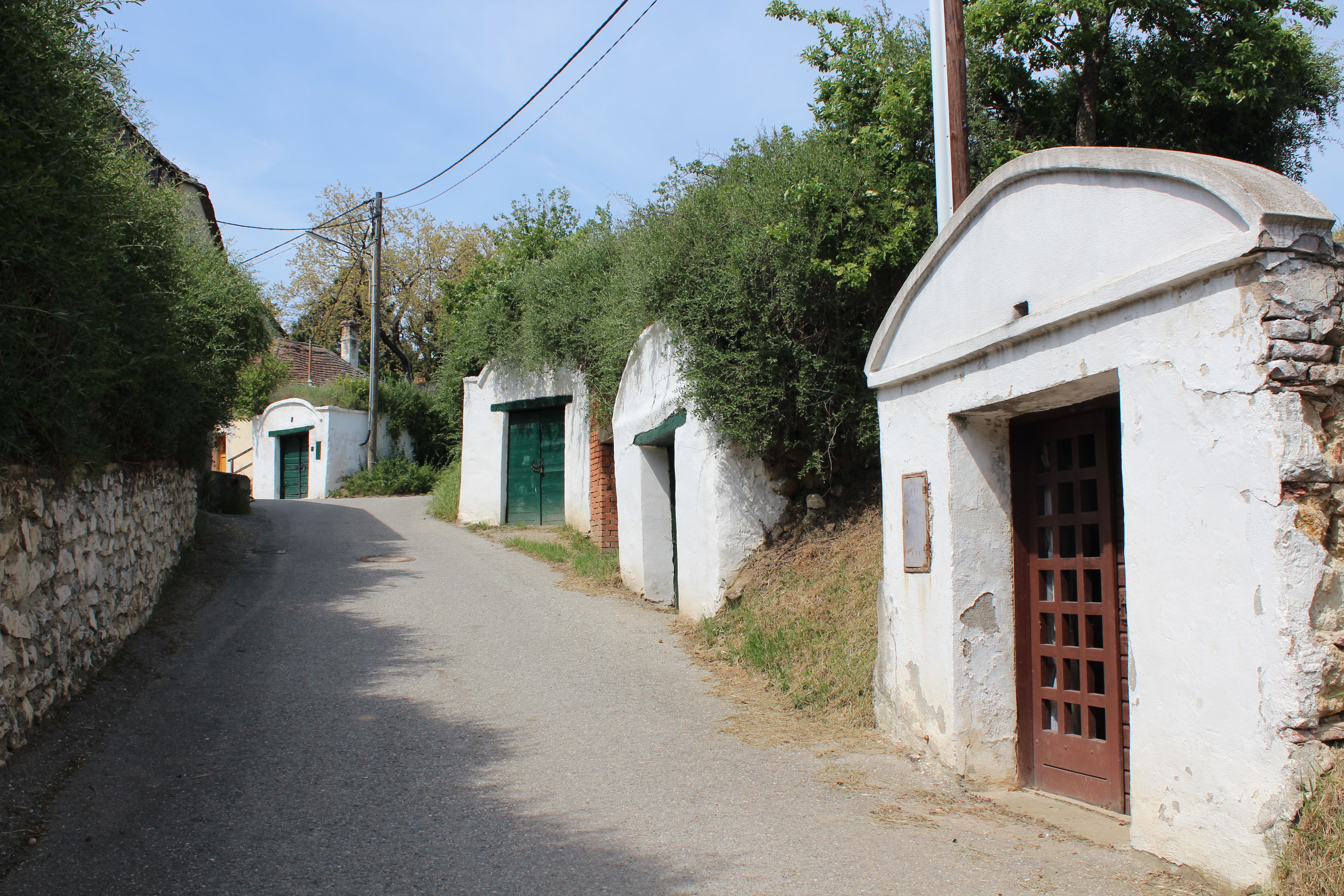 A narrow street in a wine cellar lane with white wine cellars and green doors in Herrnbaumgarten.