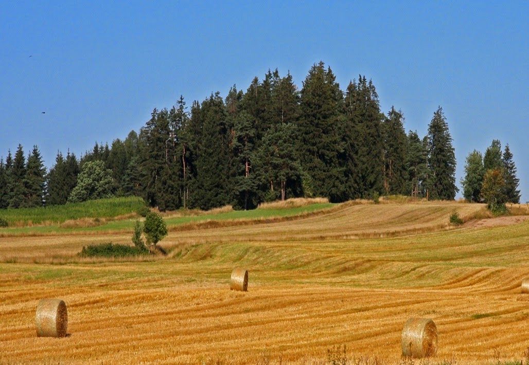 Straw bales