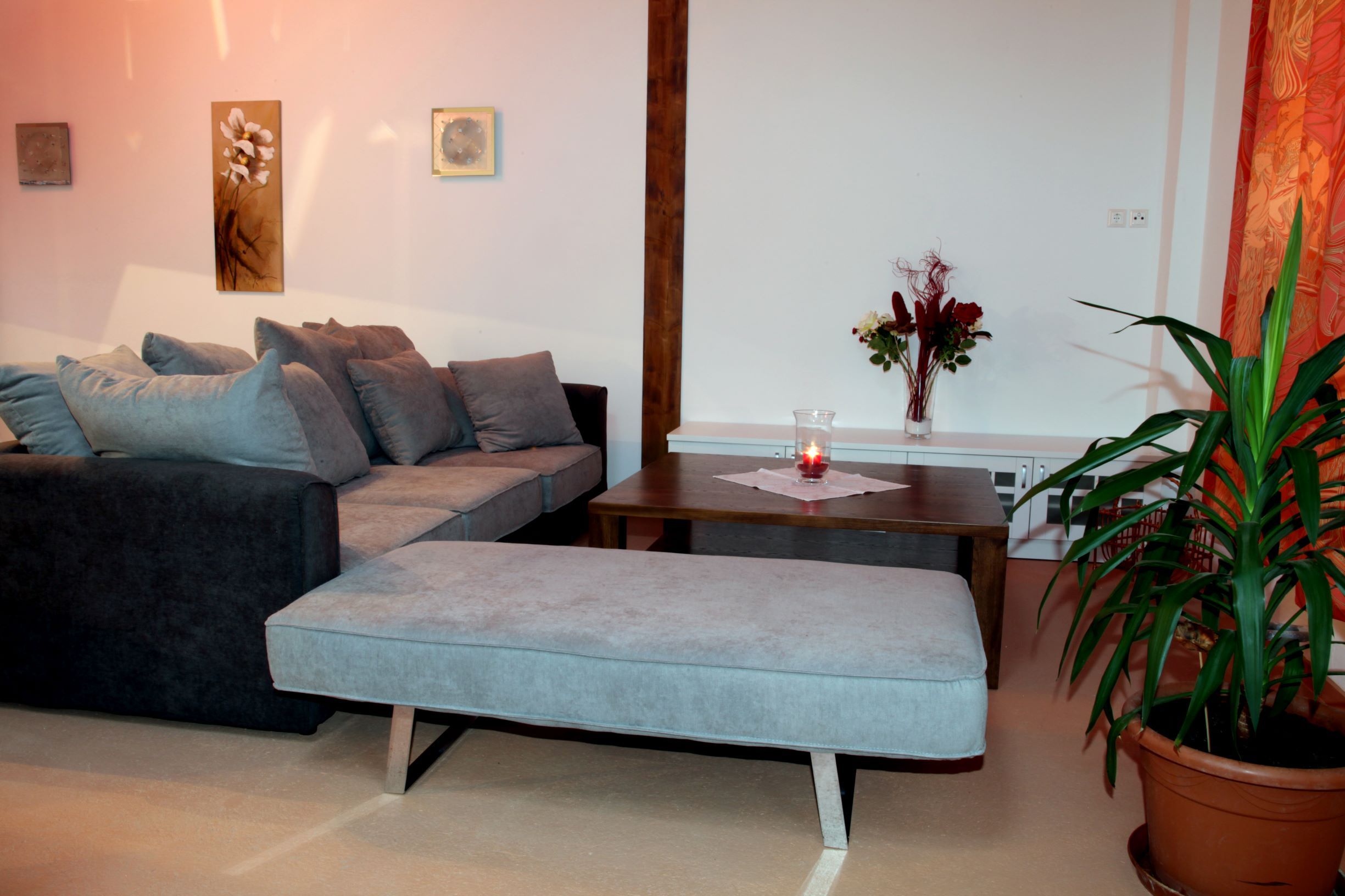 A modern living room with a gray sofa, coffee table, plants and wall decorations.